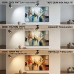 Đèn Track Light T2 - Sora Series 10W Chiếu vị trí tranh